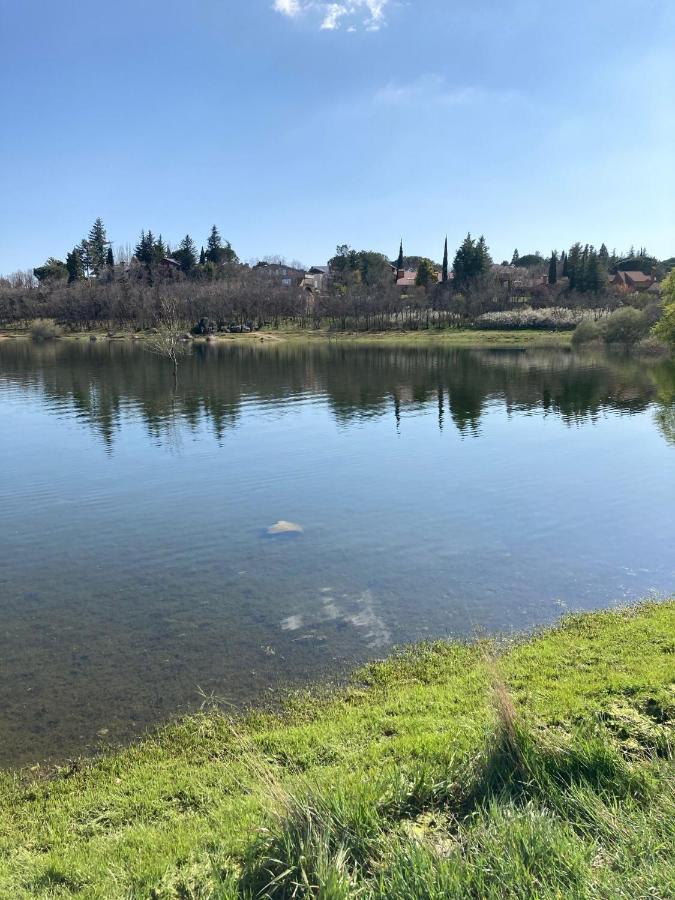 Los Cedros, Gran Chalet Con Piscina Y Apartamento En Navacerrada Villa Buitenkant foto