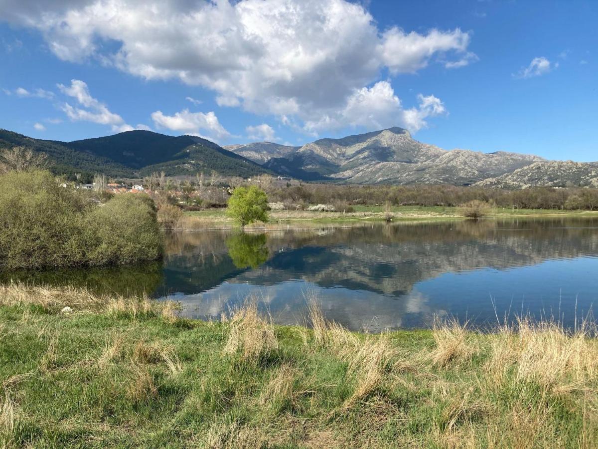 Los Cedros, Gran Chalet Con Piscina Y Apartamento En Navacerrada Villa Buitenkant foto