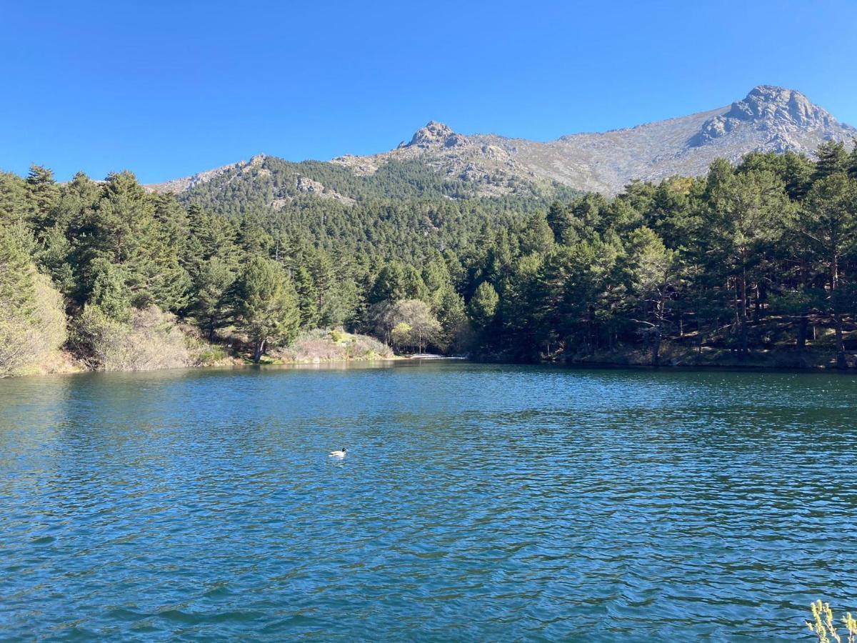 Los Cedros, Gran Chalet Con Piscina Y Apartamento En Navacerrada Villa Buitenkant foto